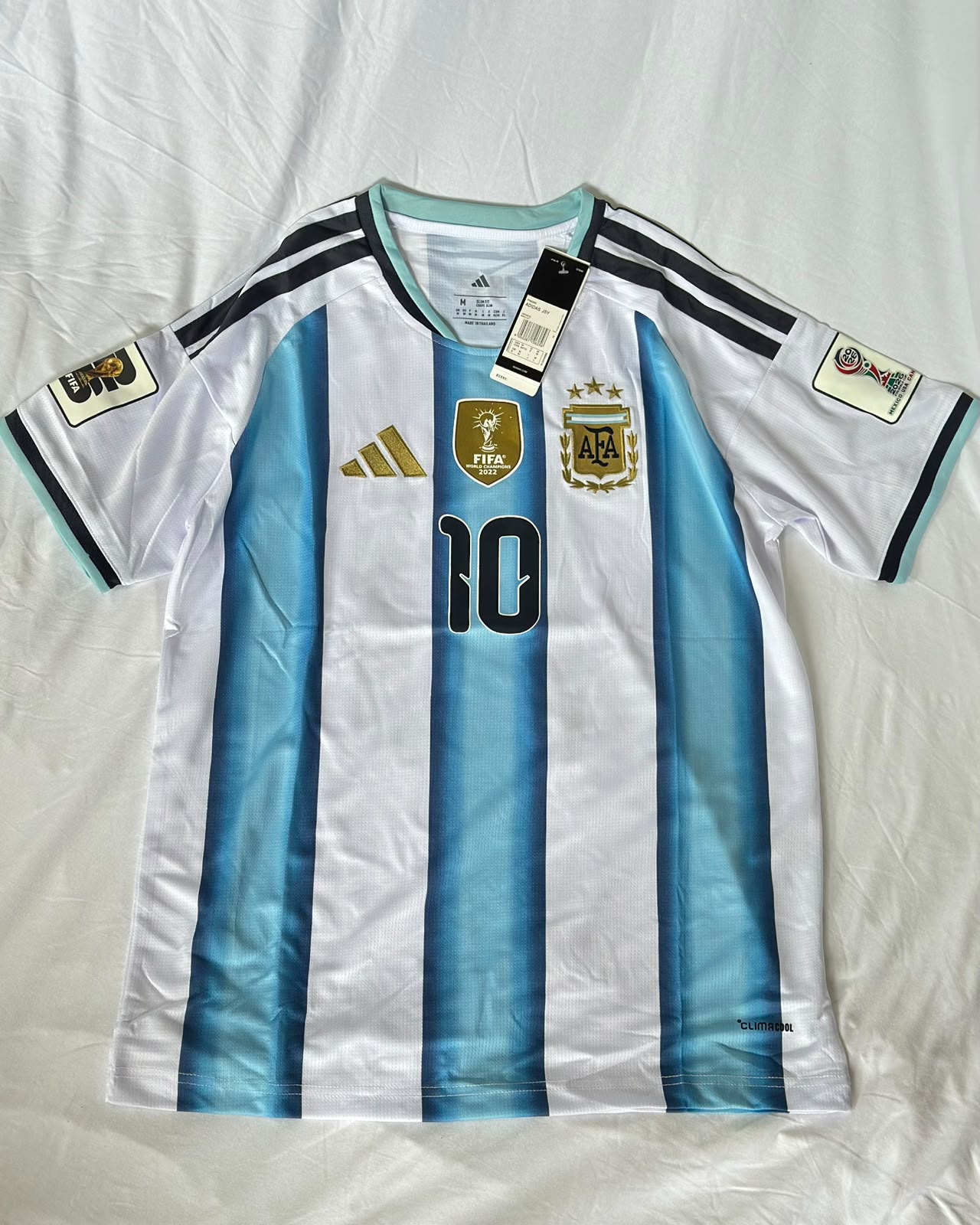 Camiseta Argentina 2026 #10 Messi Versión Fan